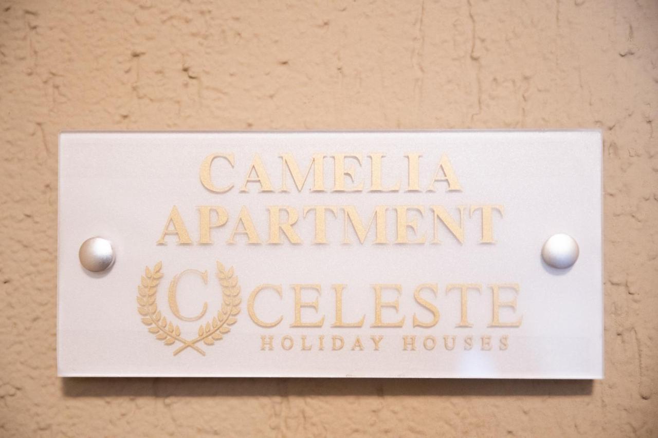 Relax Camelia